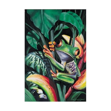 Dann Spider Warren 'Rainforest Prince' Canvas Art,22x32